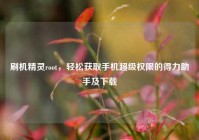 刷机精灵root，轻松获取手机超级权限的得力助手及下载