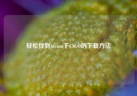 轻松找到Steam下CSGO的下载方法