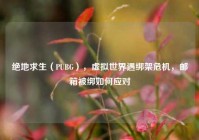 绝地求生（PUBG），虚拟世界遇绑架危机，邮箱被绑如何应对
