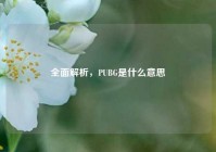 全面解析，PUBG是什么意思