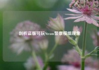剖析盗版可玩Steam警察模组现象
