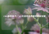 CSGO春季箱子，2021年游戏世界里的神秘宝藏