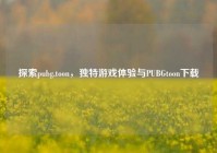探索pubg.toon，独特游戏体验与PUBGtoon下载