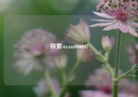 探索steam000047