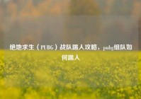 绝地求生（PUBG）战队踢人攻略，pubg组队如何踢人