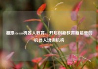 湘潭steam机器人教育，开启创新教育新篇章的机器人培训机构