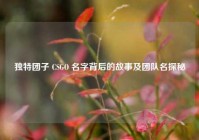 独特团子 CSGO 名字背后的故事及团队名探秘