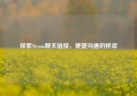 探索Steam聊天链接，便捷沟通的桥梁