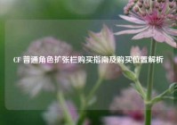 CF 普通角色扩张栏购买指南及购买位置解析