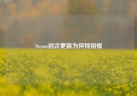 Steam初次更新为何特别慢