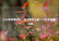 AZ王者荣耀战队，峡谷璀璨之星——王者荣耀a+战队