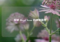探秘 Ahegal Steam 的神秘面纱