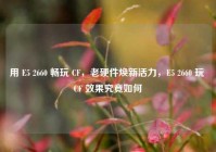 用 E5 2660 畅玩 CF，老硬件焕新活力，E5 2660 玩 CF 效果究竟如何