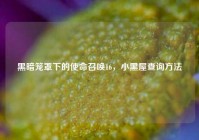 黑暗笼罩下的使命召唤16，小黑屋查询方法