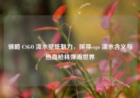 领略 CSGO 泼水壁纸魅力，探寻csgo 泼水含义与热血枪林弹雨世界