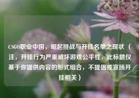 CSGO职业中国，崛起挑战与开挂名单之现状 （注，开挂行为严重破坏游戏公平性，此标题仅基于你提供内容的形式组合，不提倡或宣扬开挂相关）