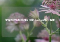 使命召唤16异常闪光现象（cod16闪烁）解析