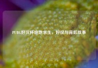 PUBG好汉杯绝地求生，好汉与背后故事