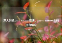 深入剖析Access Violation错误，address 00000000处的违规情况