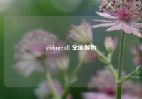 xvidcore.dll 全面解析