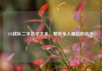 CF战队二字名字大全，那些令人难忘的名字