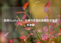 联想ThinkPad E40，经典与实用完美融合及笔记本参数