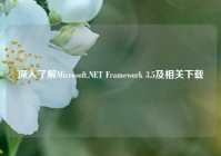 深入了解Microsoft.NET Framework 3.5及相关下载