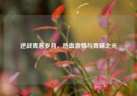 逆战青葱岁月，热血激情与青睐之光