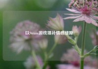 以Steam游戏填补情感缝隙