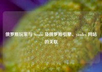 俄罗斯玩家与 Steam 及俄罗斯引擎、yandex 网站的关联