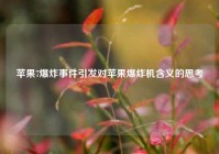 苹果7爆炸事件引发对苹果爆炸机含义的思考