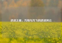逆战之星，万翔与万飞的逆战风云