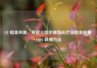 CF 暗金风暴，穿越火线中璀璨光芒及暗金风暴 AN94 获得方法