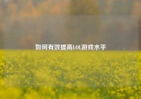 如何有效提高LOL游戏水平
