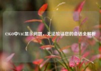 CSGO中VAC显示问题，无法验证您的会话全解析