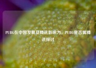 PUBG在中国发展及腾讯影响力，PUBG是否属腾讯探讨