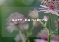 海阔天空，畅享 CSGO 竞技之旅