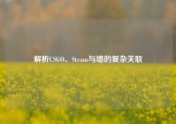 解析CSGO、Steam与墙的复杂关联