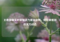 王者荣耀实时荣耀战力查询官网，轻松掌握游戏实力动态