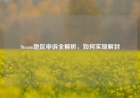 Steam地区申诉全解析，如何实现解封