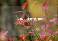 Kodr于CSGO展现精彩表现