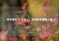 和平精英 TC 叶某人，电竞世界璀璨之星