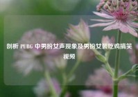剖析 PUBG 中男扮女声现象及男扮女装吃鸡搞笑视频