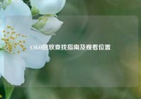 CSGO回放查找指南及观看位置