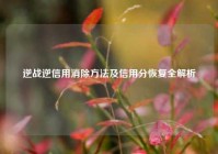 逆战逆信用消除方法及信用分恢复全解析