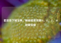 套装地下城宝典，解锁暗黑世界31、35、37、40隐藏宝藏