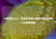 小狼狗与CSGO，电竞世界里小狼狗所喻指的男人及激情碰撞