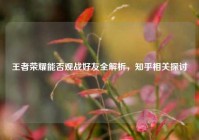 王者荣耀能否观战好友全解析，知乎相关探讨