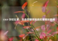 CSGO 学校比赛，热血荣耀铸就高校赛精彩瞬间