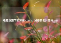 电竞热潮下的苏州 COD16，城市新名片苏州 code